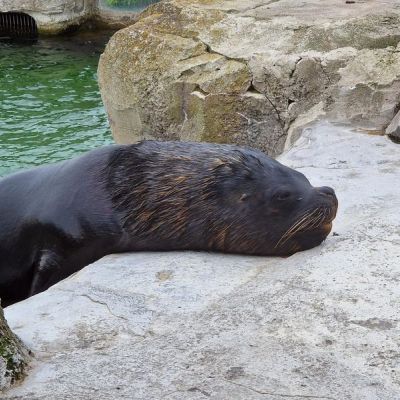 "Ausflug in den Zoo am  Meer"