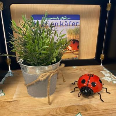 "Projekt: Marienkäfer"