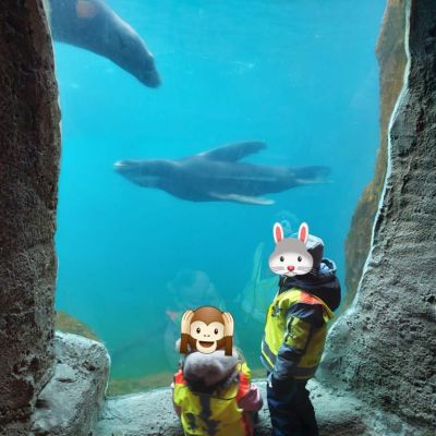 "Kita-Kids besuchen den Zoo am Meer"