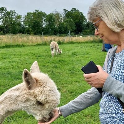 "Senioren besuchen die Alpaka-Farm"
