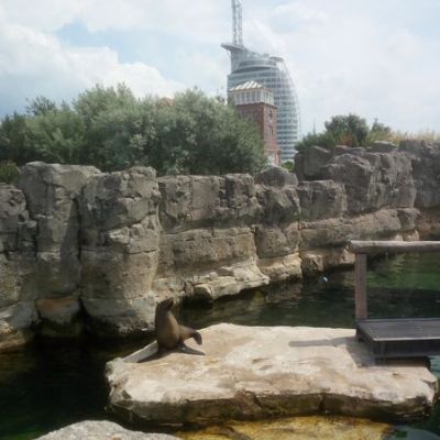 "SeniorPartner besucht den Zoo Bremerhaven"
