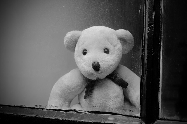 Quelle:pixabay.com/de/fenster-glas-schmutz-staub-teddy-163812/