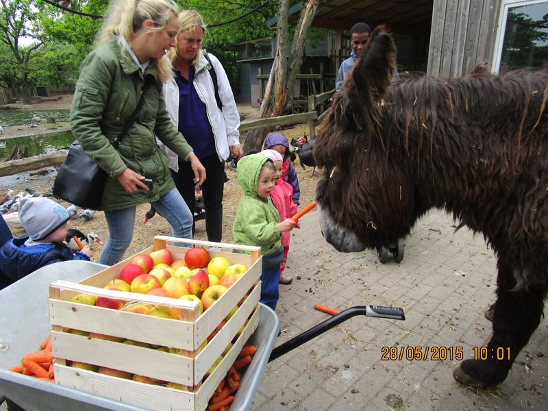 Besuch im Tierpak Cux Art