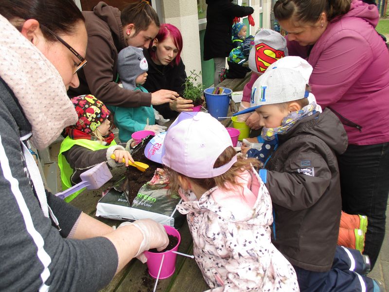Eltern der Kita Ellhornstraße pflanzen gemeinsam mit ihren Kindern neue Blumen ein.