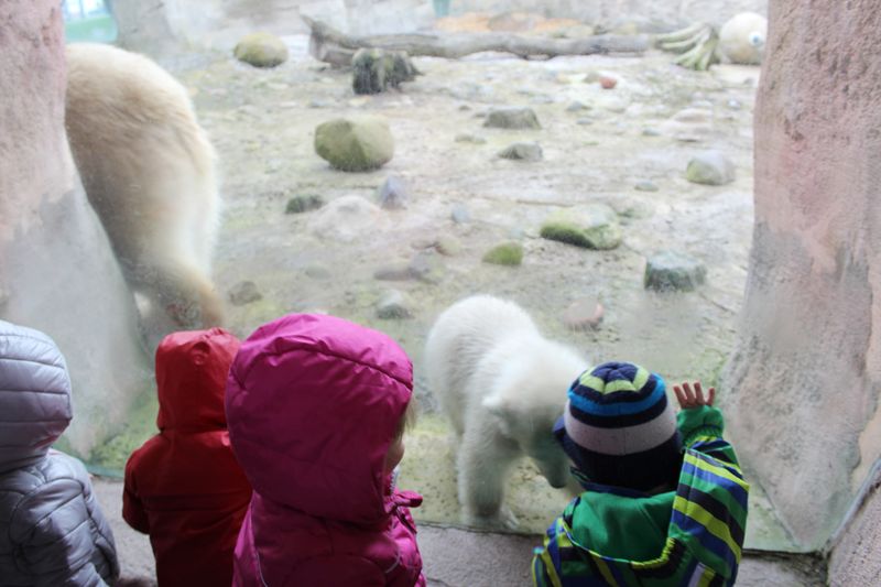 Lili und die Krippenkinder bestauen einander