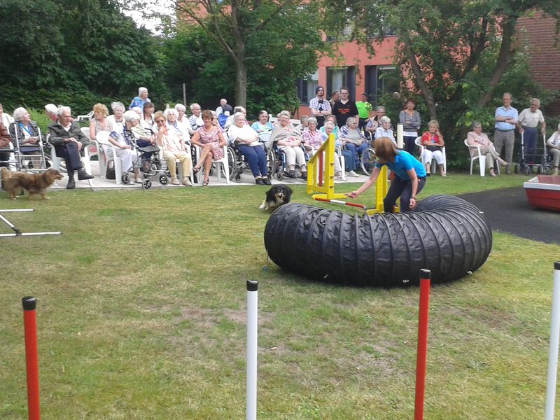 files/EHaus/bilder/PhotoAlbums/2015_Bilder/Sommerfest/173.jpg